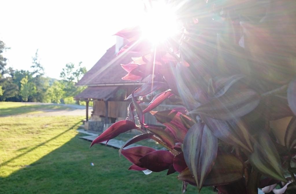 Rustic Home Mia Duga Resa Bilik gambar